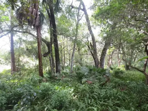 16865 SE 3rd Place Silver Springs FL 34488