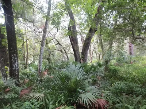 16865 SE 3rd Place Silver Springs FL 34488