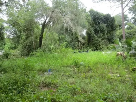 16865 SE 3rd Place Silver Springs FL 34488