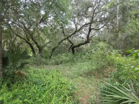 16865 SE 3rd Place Silver Springs FL 34488