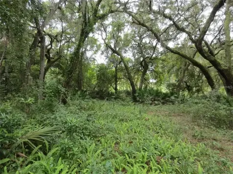 16865 SE 3rd Place Silver Springs FL 34488