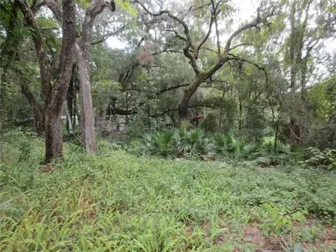 16865 SE 3rd Place Silver Springs FL 34488