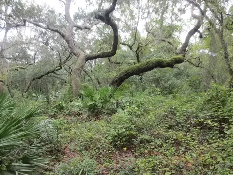 16865 SE 3rd Place Silver Springs FL 34488