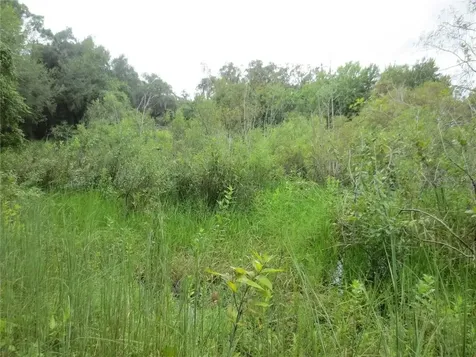 16865 SE 3rd Place Silver Springs FL 34488