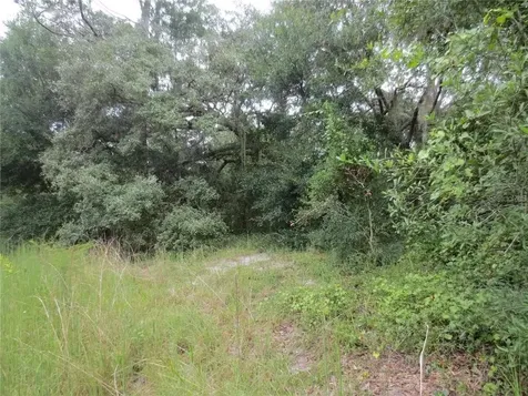 16865 SE 3rd Place Silver Springs FL 34488