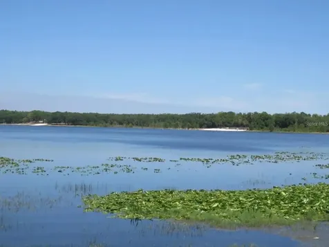 16865 SE 3rd Place Silver Springs FL 34488
