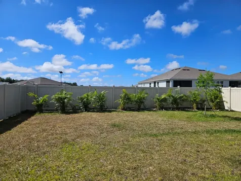 32650 Osprey Peak Way San Antonio FL 33576
