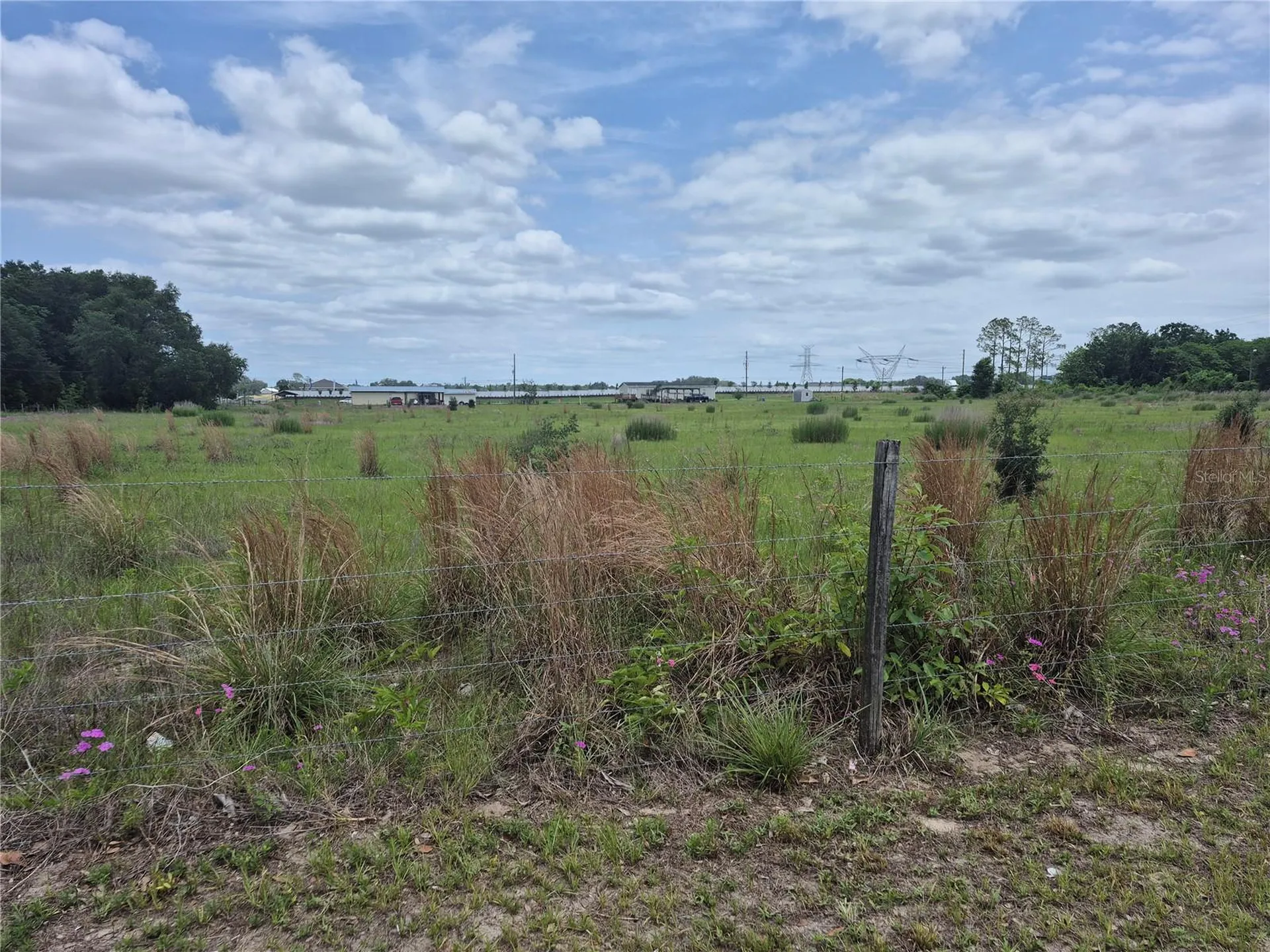 Cr 229 Wildwood FL 34785