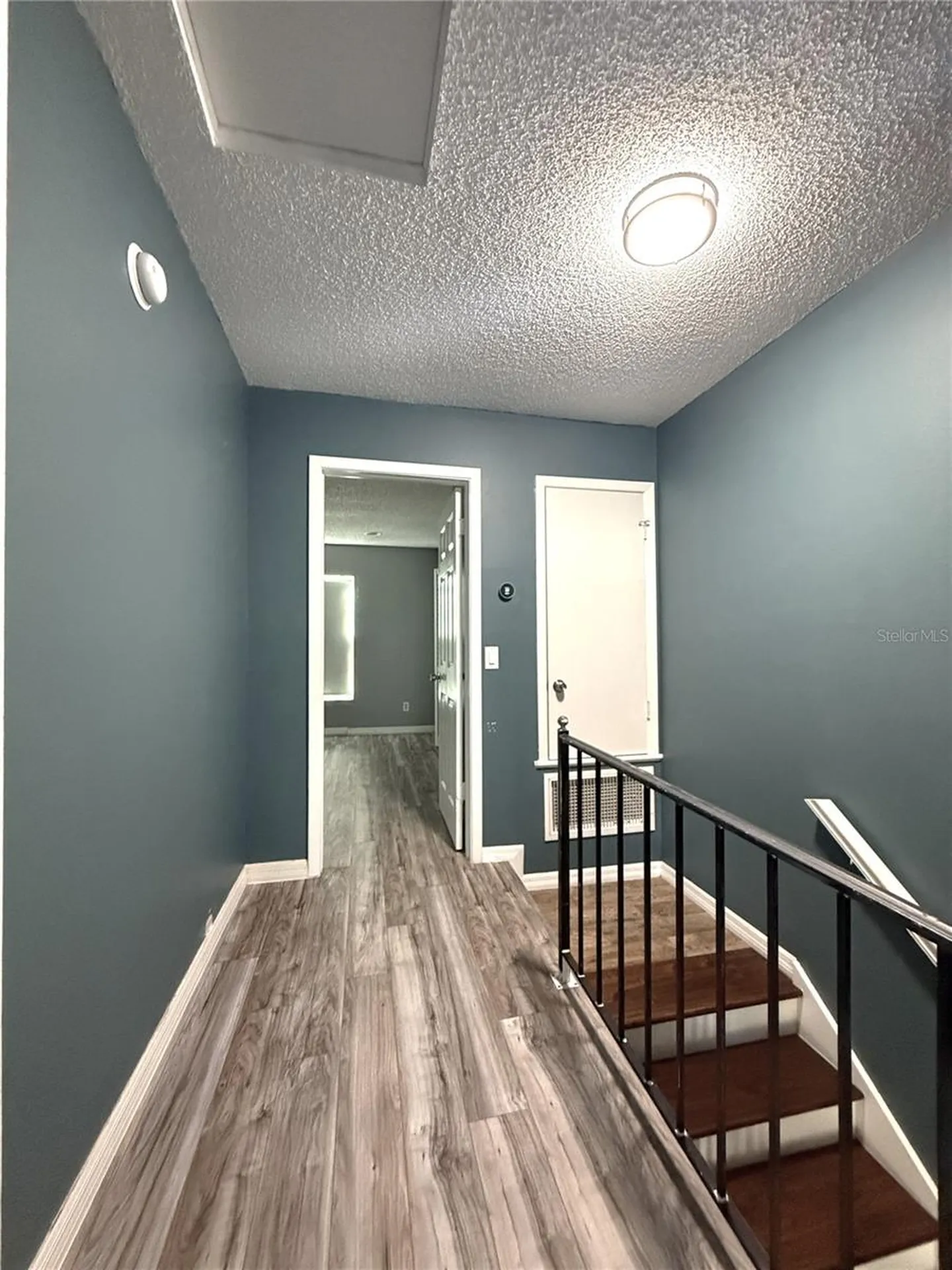 16335 Rambling Vine Drive W Tampa FL 33624