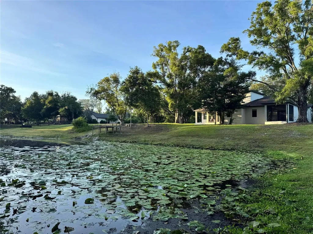 2730 Robertson Lutz FL 33559