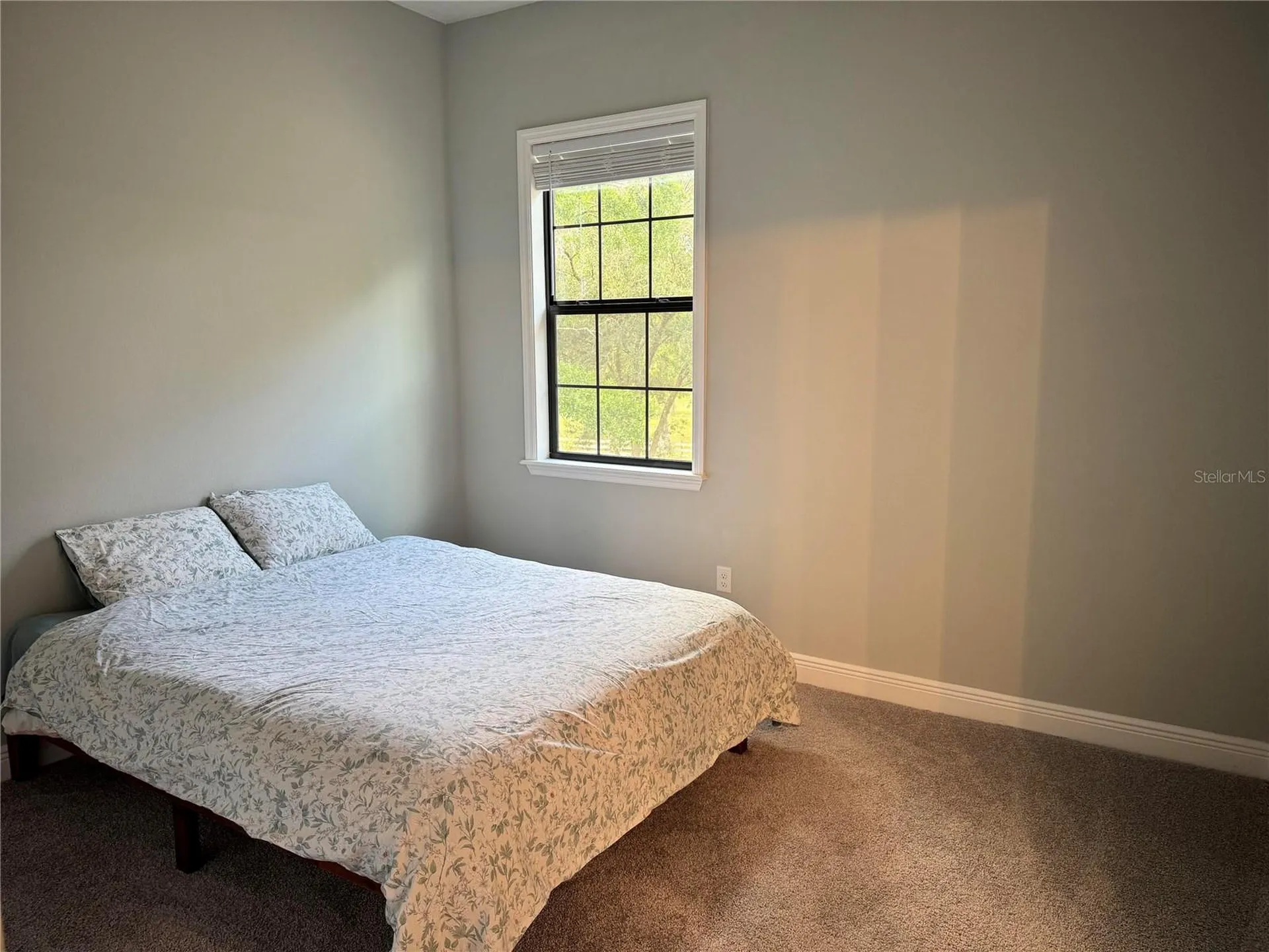 2730 Robertson Lutz FL 33559