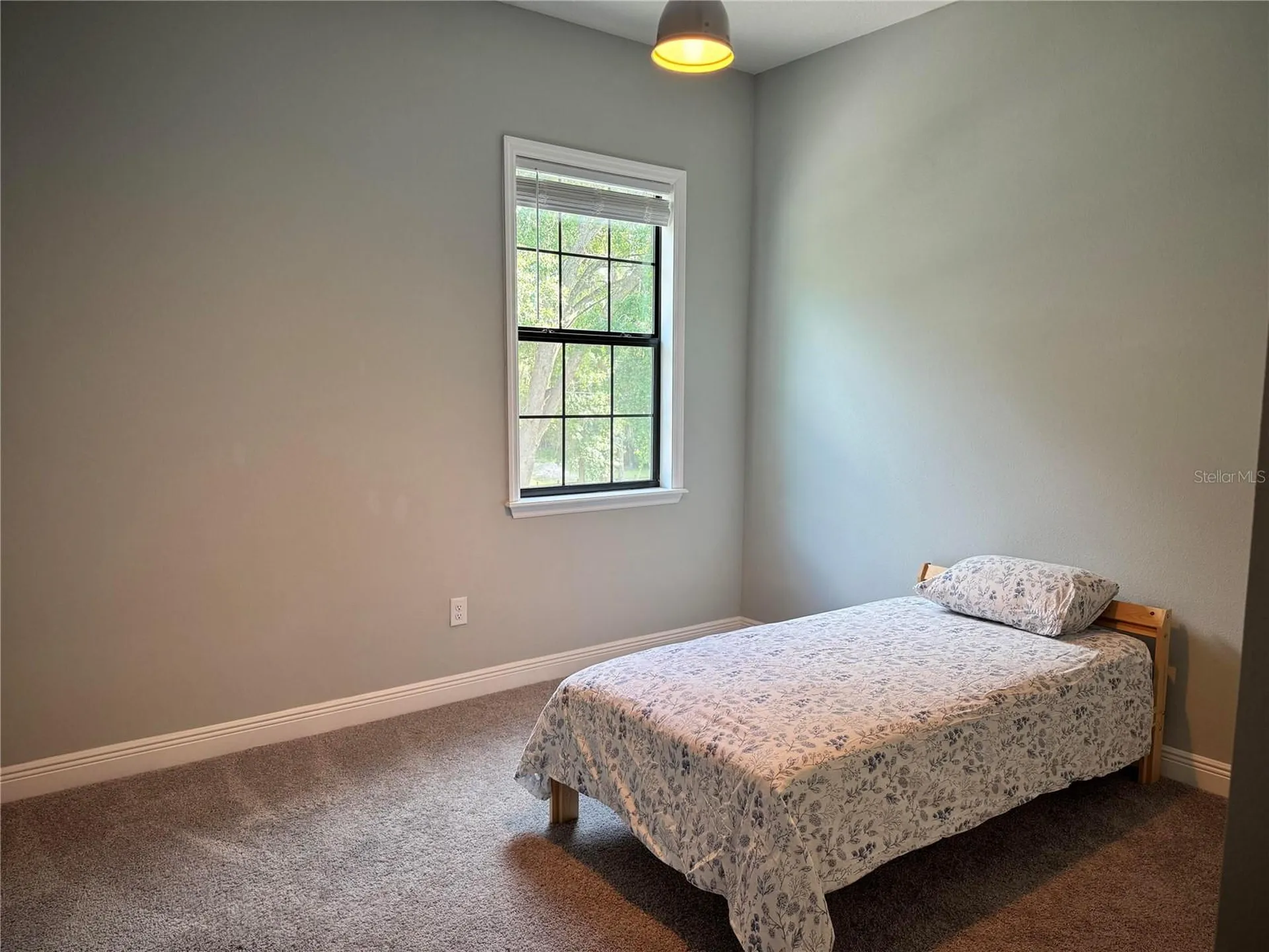 2730 Robertson Lutz FL 33559