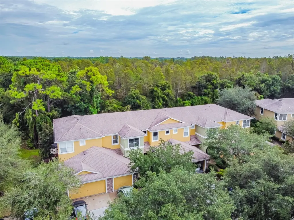 8116 Stone Path Way Tampa FL 33647