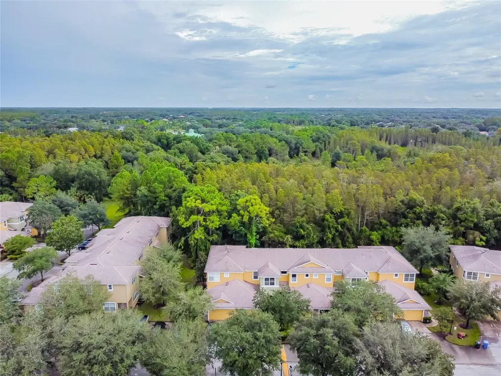 8116 Stone Path Way Tampa FL 33647
