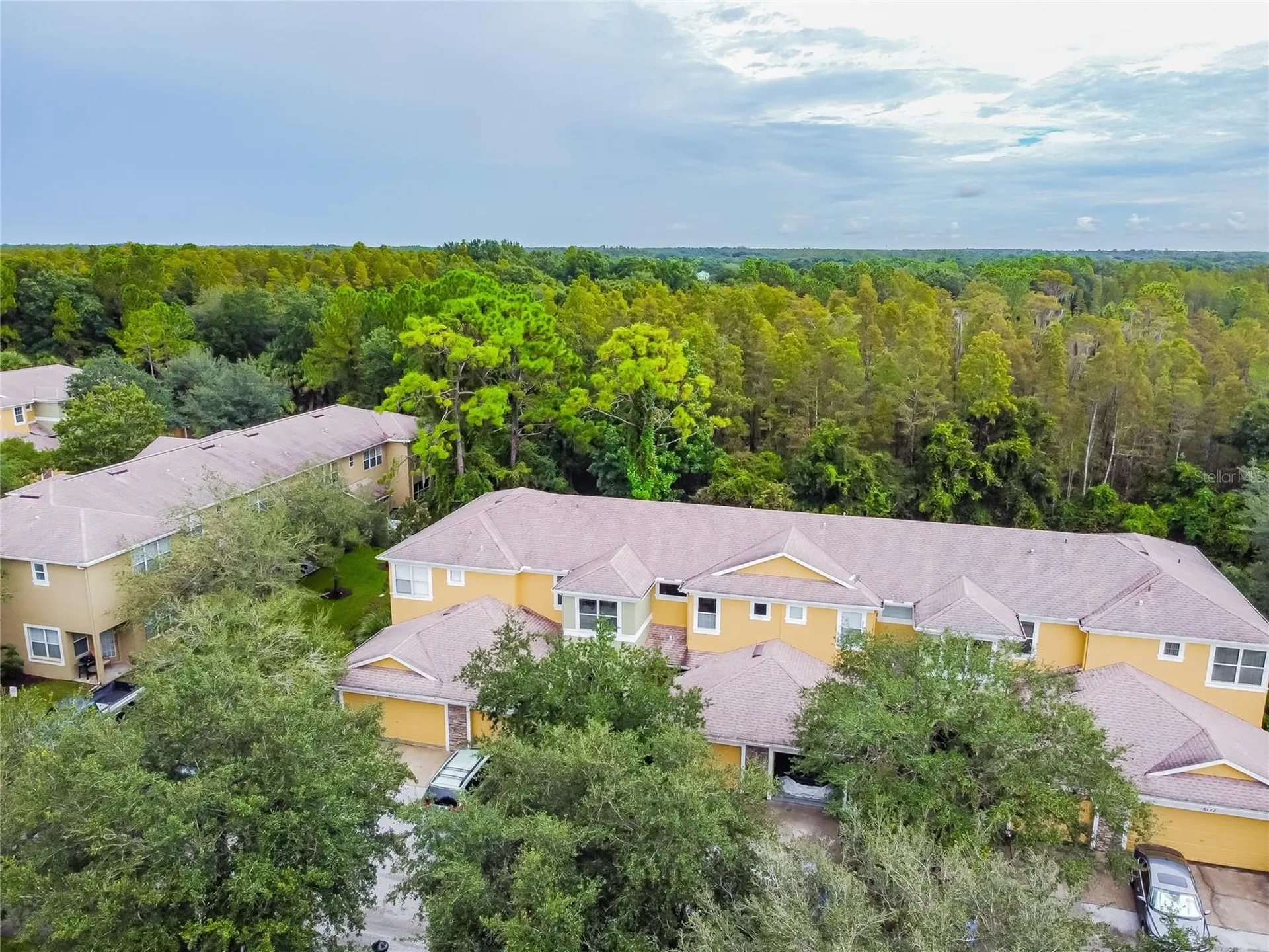 8116 Stone Path Way Tampa FL 33647