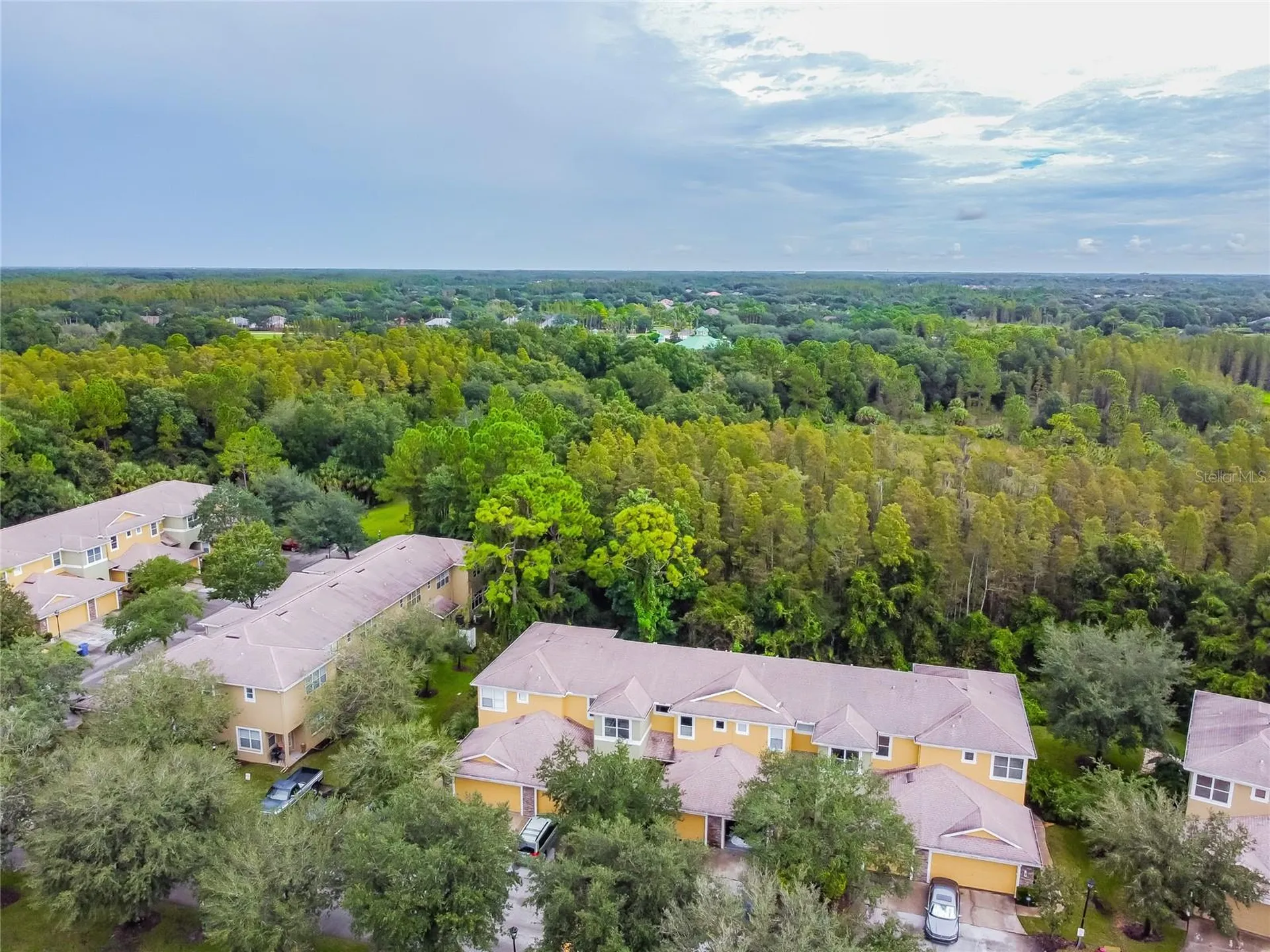 8116 Stone Path Way Tampa FL 33647