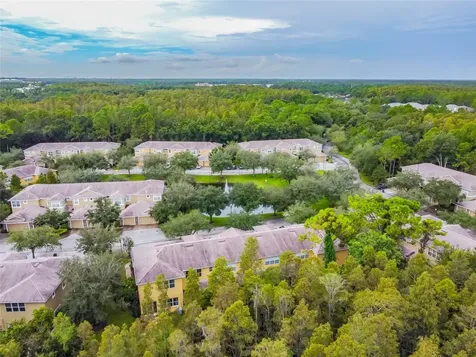 8116 Stone Path Way Tampa FL 33647