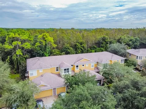 8116 Stone Path Way Tampa FL 33647