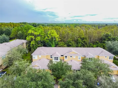 8116 Stone Path Way Tampa FL 33647