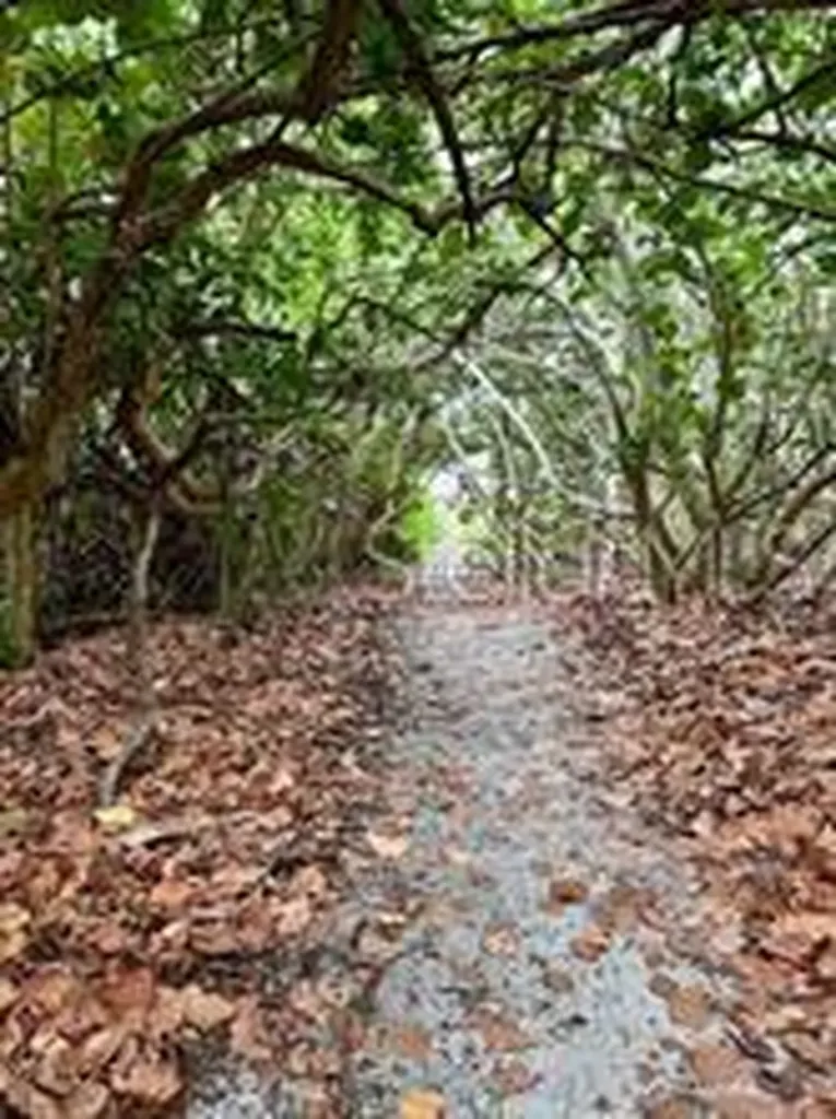 521 Neptune Avenue Longboat Key FL 34228