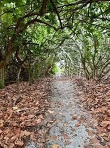 521 Neptune Avenue Longboat Key FL 34228