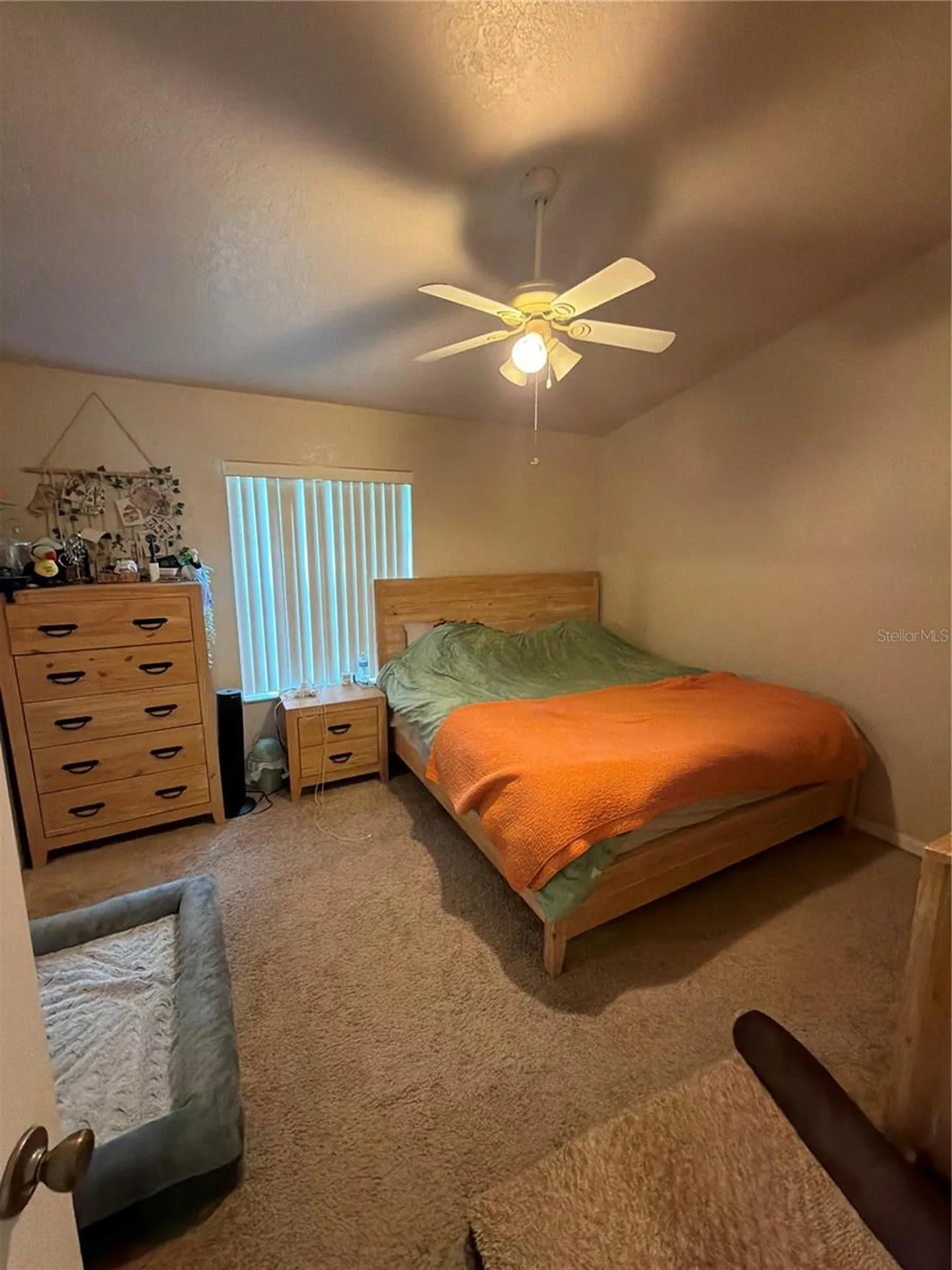 2504 Brigadoon Drive Clearwater FL 33759