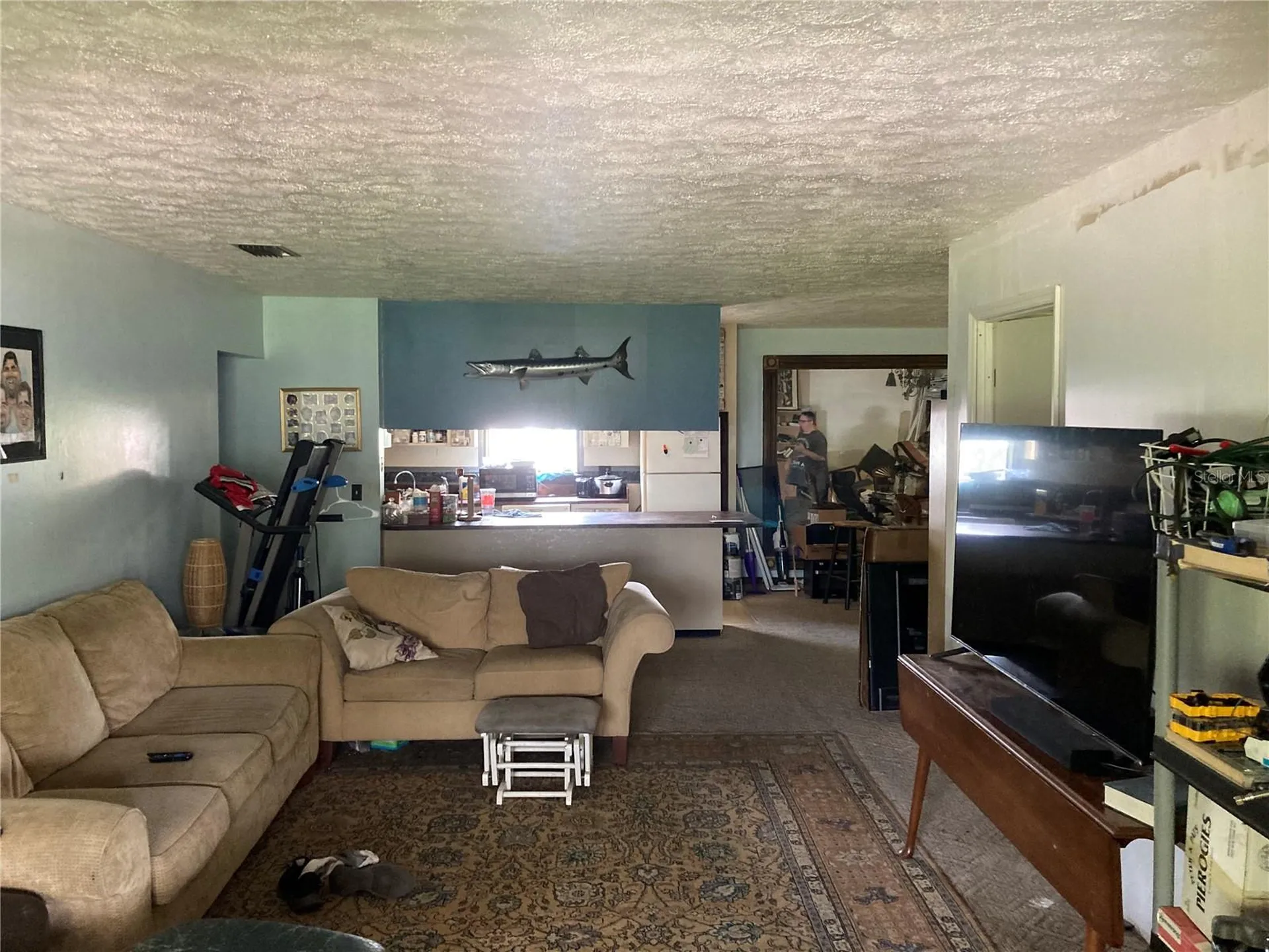 11317 Sylvan Green Lane Riverview FL 33569