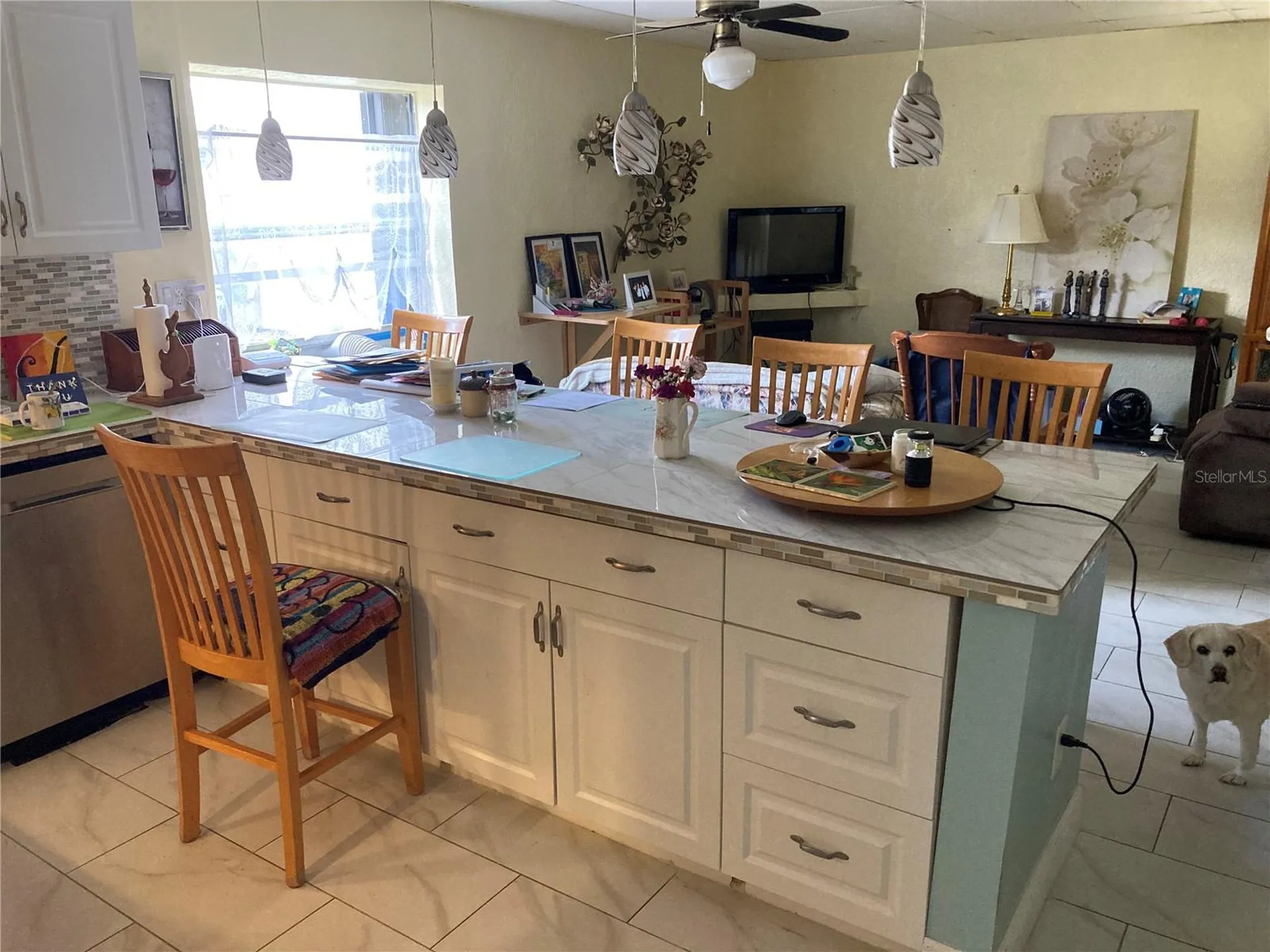 11317 Sylvan Green Lane Riverview FL 33569