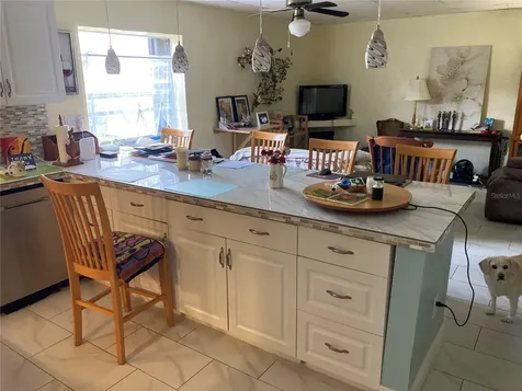 11317 Sylvan Green Lane Riverview FL 33569