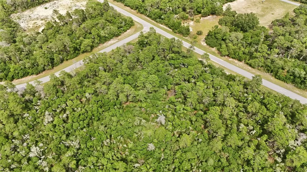 Parcel #8005-0854-46 (2.89 Acres) Ocala FL 34473