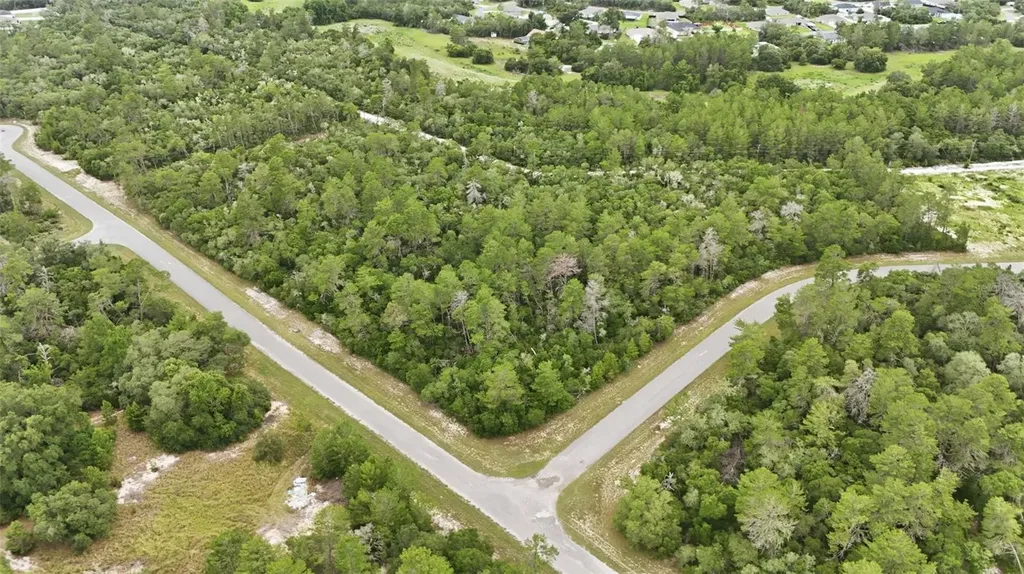 Parcel #8005-0854-46 (2.89 Acres) Ocala FL 34473