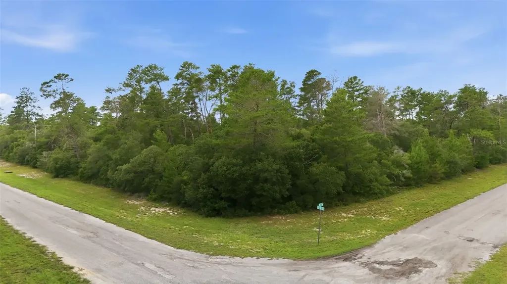 Parcel #8005-0854-46 (2.89 Acres) Ocala FL 34473