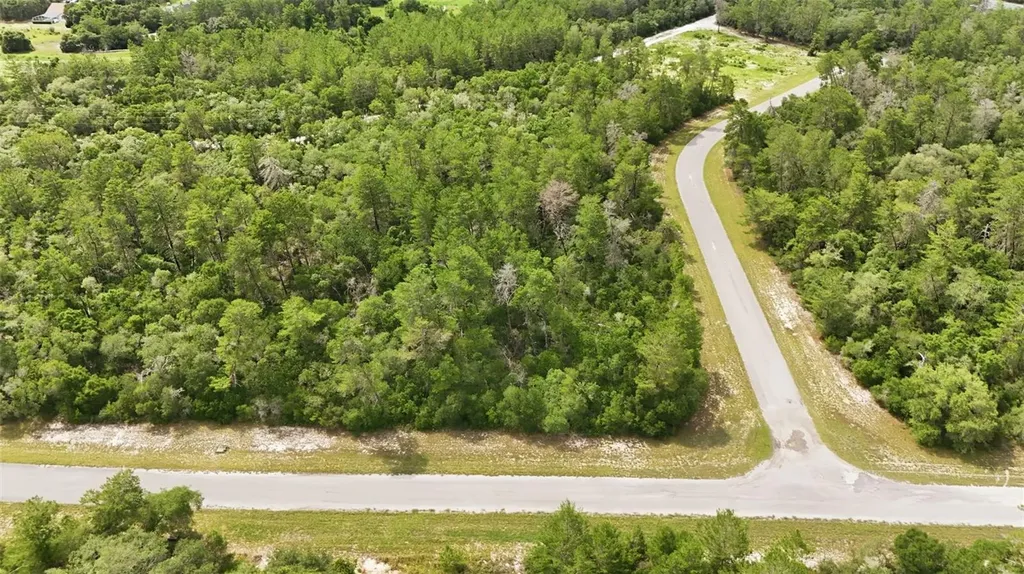Parcel #8005-0854-46 (2.89 Acres) Ocala FL 34473