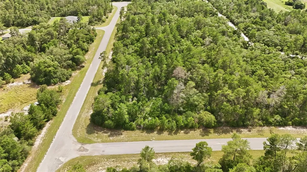 Parcel #8005-0854-46 (2.89 Acres) Ocala FL 34473