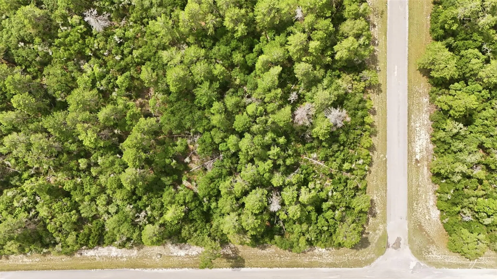 Parcel #8005-0854-46 (2.89 Acres) Ocala FL 34473