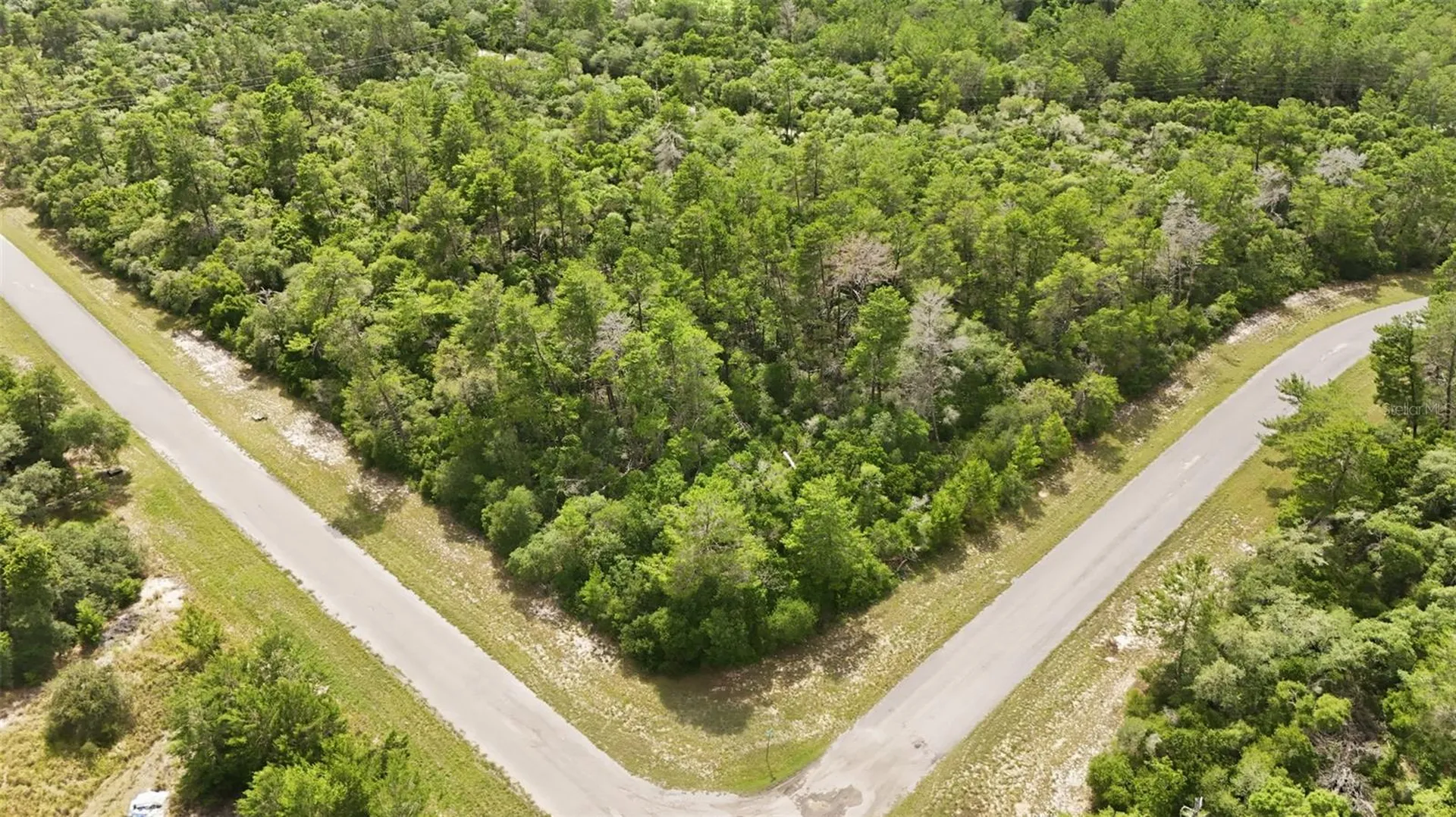 Parcel #8005-0854-46 (2.89 Acres) Ocala FL 34473