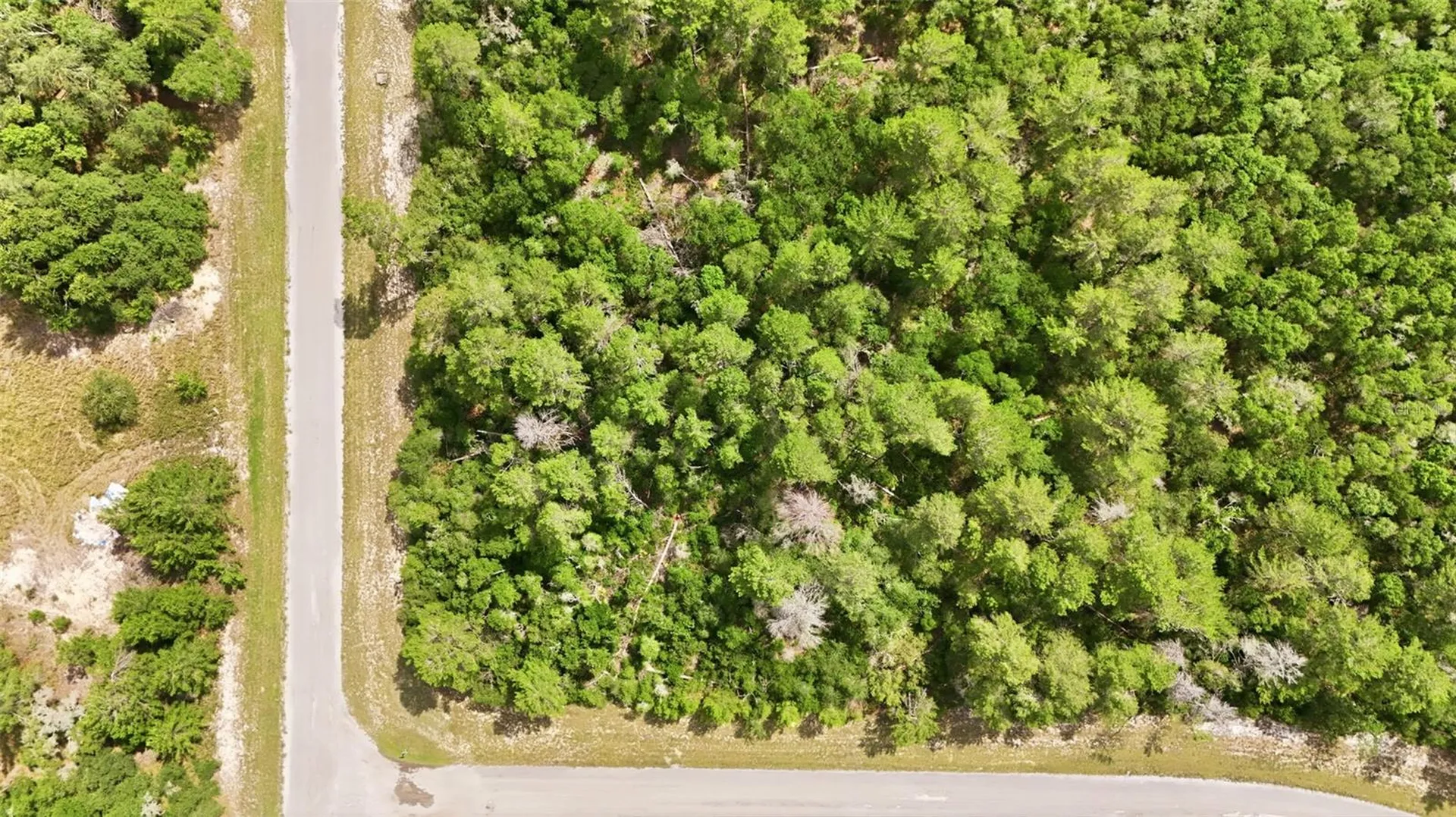 Parcel #8005-0854-46 (2.89 Acres) Ocala FL 34473