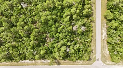 Parcel #8005-0854-46 (2.89 Acres) Ocala FL 34473
