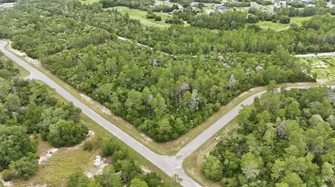 Parcel #8005-0854-46 (2.89 Acres) Ocala FL 34473