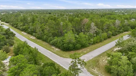 Parcel #8005-0854-46 (2.89 Acres) Ocala FL 34473