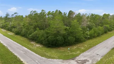 Parcel #8005-0854-46 (2.89 Acres) Ocala FL 34473
