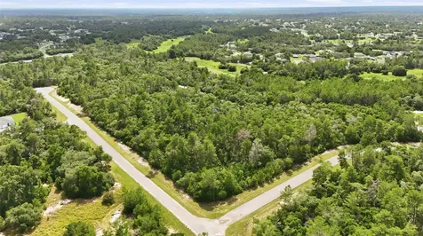 Parcel #8005-0854-46 (2.89 Acres) Ocala FL 34473