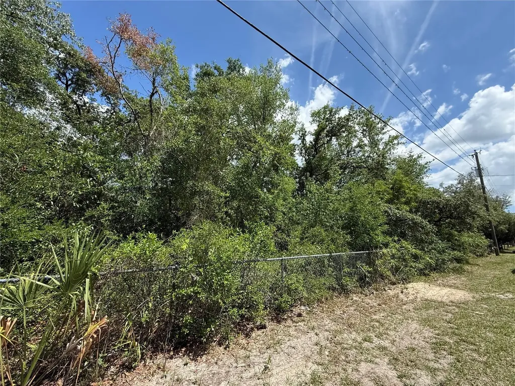 11748 Turkey Lane New Port Richey FL 34654