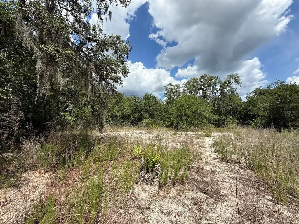 11748 Turkey Lane New Port Richey FL 34654