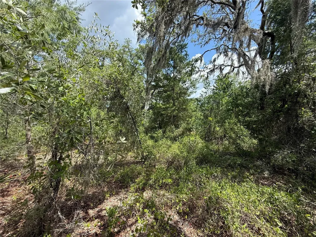 11748 Turkey Lane New Port Richey FL 34654