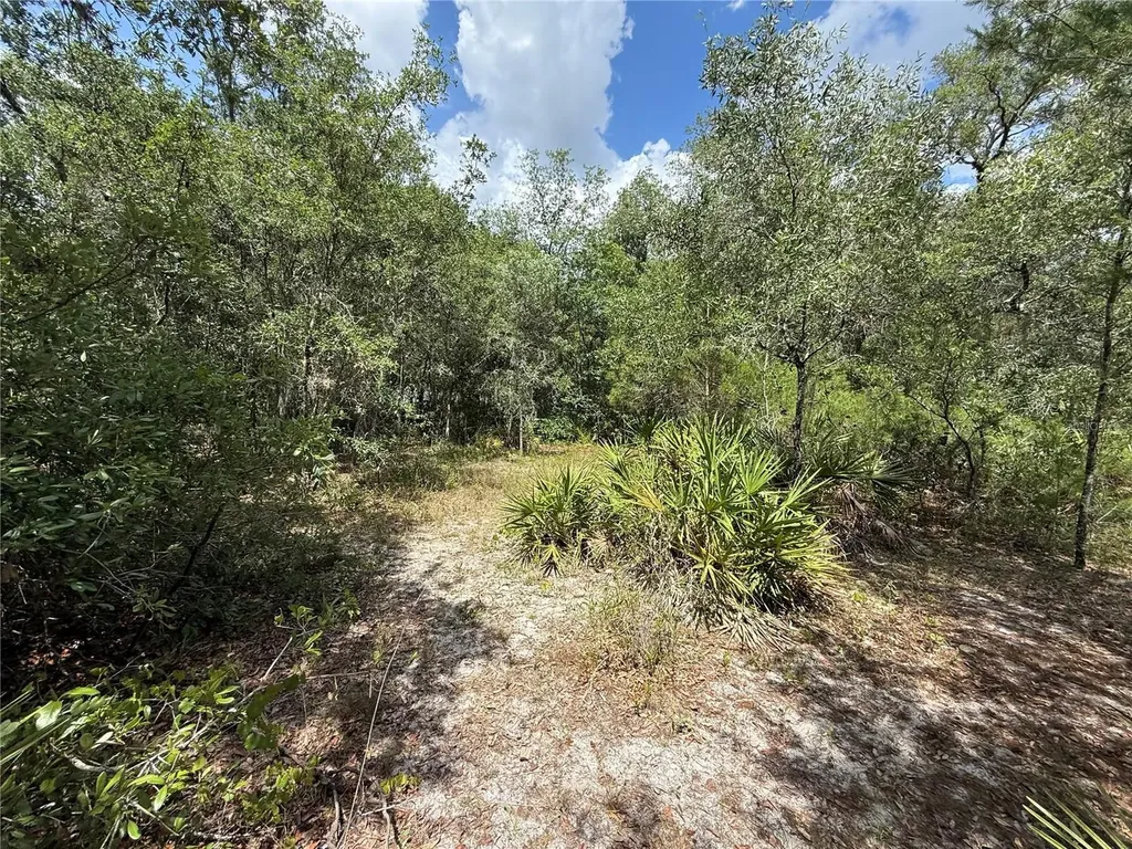 11748 Turkey Lane New Port Richey FL 34654