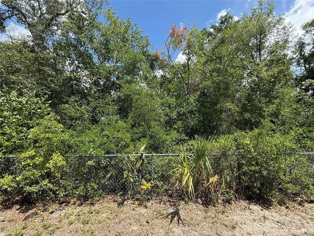 11748 Turkey Lane New Port Richey FL 34654