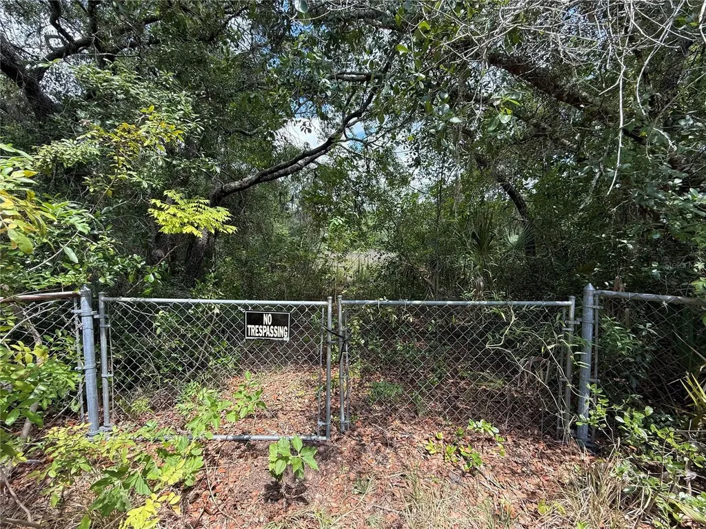 11748 Turkey Lane New Port Richey FL 34654