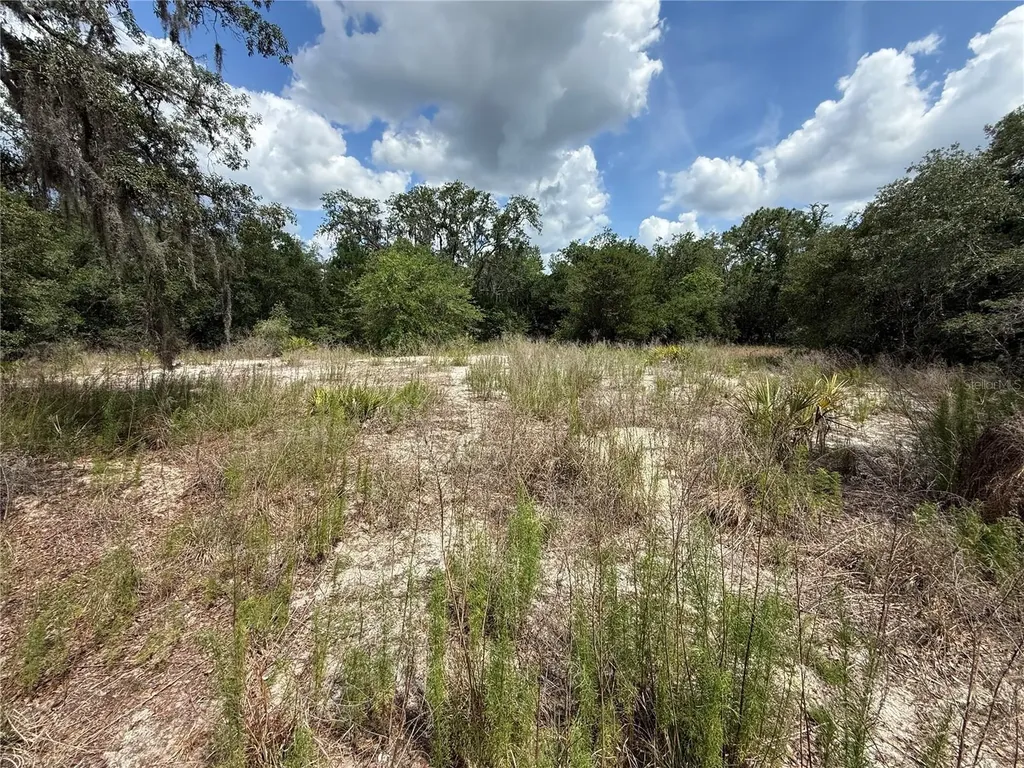 11748 Turkey Lane New Port Richey FL 34654