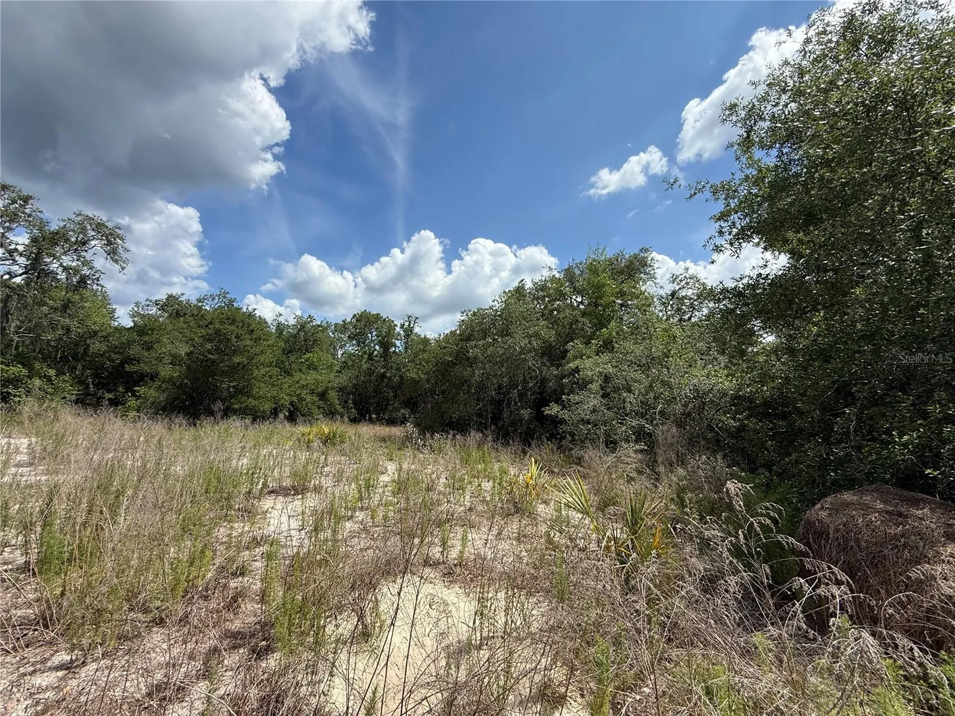 11748 Turkey Lane New Port Richey FL 34654